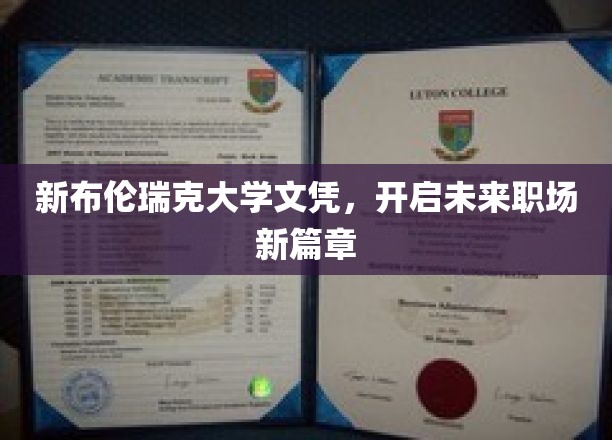 新布伦瑞克大学文凭，引领职海启航新航程
