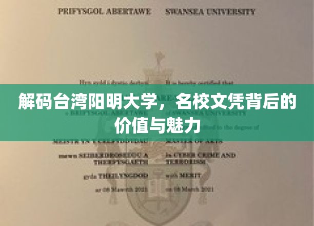 解码台湾阳明大学，名校文凭背后的价值与魅力