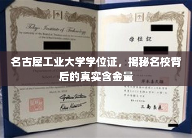 名古屋工业大学学位证，揭秘名校背后的真实含金量