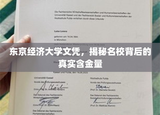 揭秘，东京经济大学文凭，名校光环下的实际价值几何？