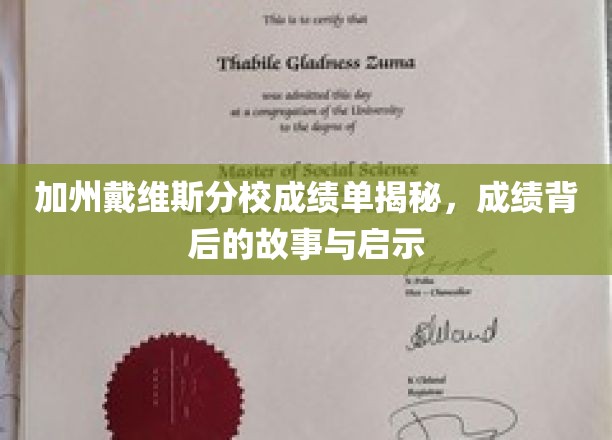 揭开加州戴维斯分校成绩单的面纱，探寻背后的精彩故事与深刻启示