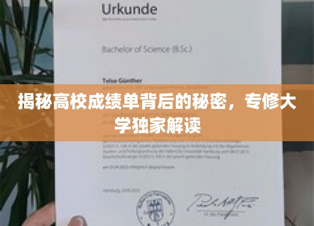高校成绩单背后，揭秘专修大学独特评价奥秘