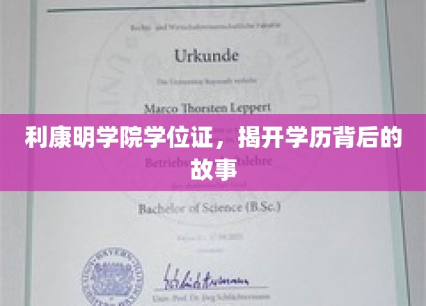 利康明学院学位证，揭开学历背后的故事