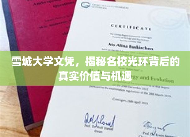 雪城大学文凭，揭示名校光环背后的真实价值与机遇