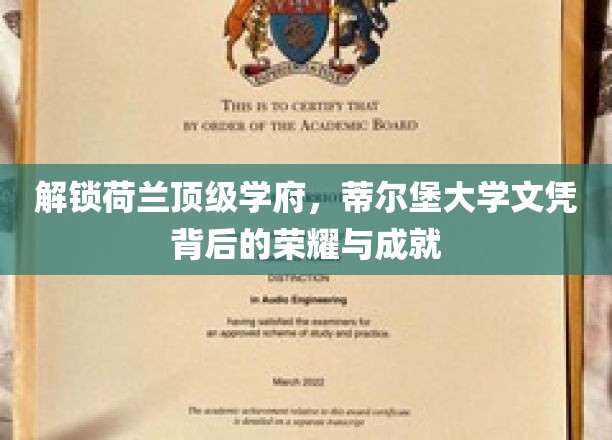 解锁荷兰顶级学府，蒂尔堡大学文凭背后的荣耀与成就
