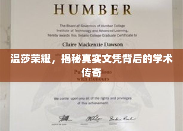 温莎荣耀之谜，揭开文凭背后的学术传奇篇章