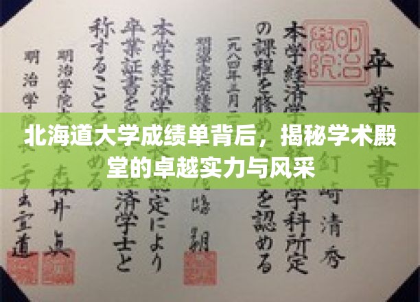 北海道大学成绩单映照，探寻顶尖学府的学术辉煌与魅力