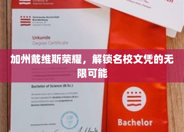 加州戴维斯荣耀，解锁名校文凭的无限可能