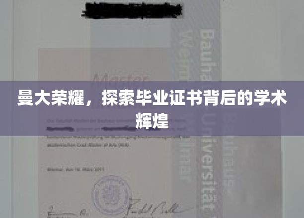 解码曼大卓越，揭秘证书背后的学术璀璨之光
