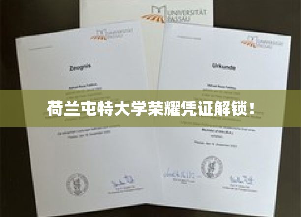 荷兰屯特大学成就证书大揭秘，荣耀时刻等你开启！