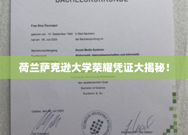 荷兰萨克逊大学学位证书背后的传奇故事