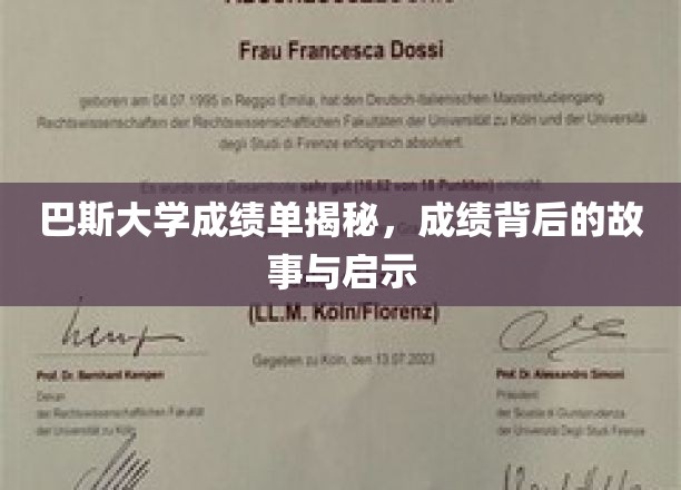 巴斯大学成绩单揭秘，成绩背后的故事与启示