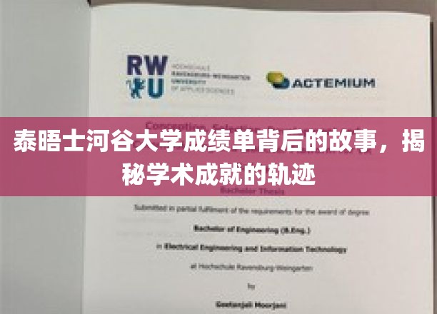 探寻泰晤士河谷大学成绩单背后的奥秘，学术成就的深度解读