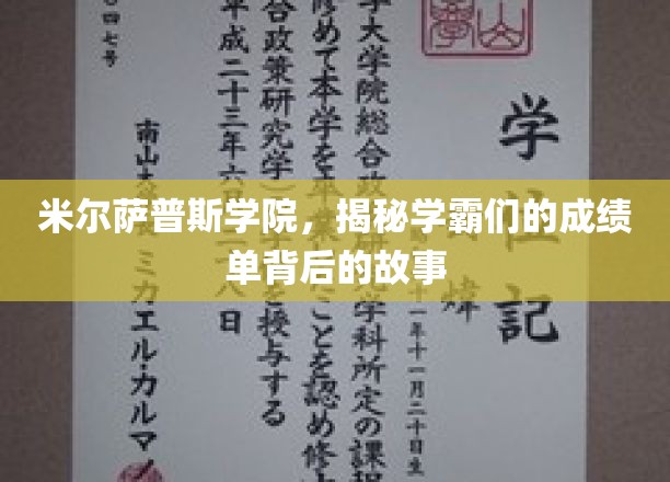 探寻米尔萨普斯学院学霸们的成绩奇迹，背后的奋斗与智慧
