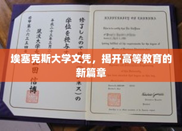 埃塞克斯大学文凭引领教育革新，开启高等教育新纪元