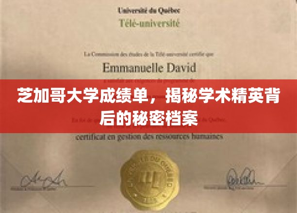 芝加哥精英档案，揭秘顶尖学府的成绩单秘密