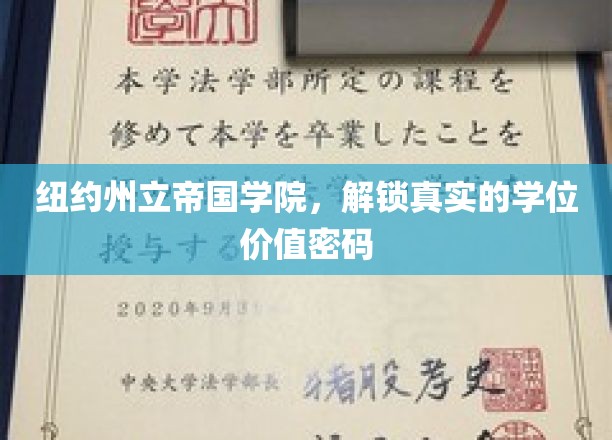 纽约州立帝国学院，解锁真实的学位价值密码