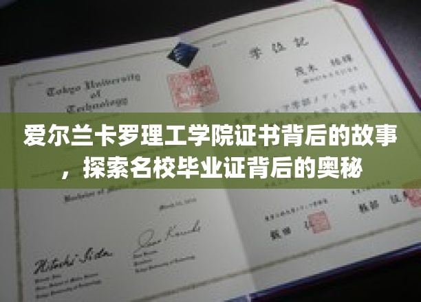 揭秘爱尔兰卡罗理工学院证书的传奇与背后的精彩篇章