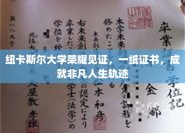 纽卡斯尔荣耀瞬间，证书铸就非凡人生里程碑