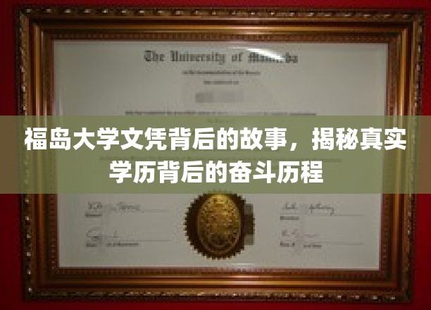 福岛大学文凭背后的故事，探寻真实学历背后的奋斗历程