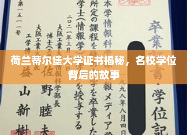 荷兰蒂尔堡大学证书揭秘，名校学位背后的故事