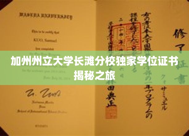 解码加州长滩分校，独家学位证书背后的秘密之旅