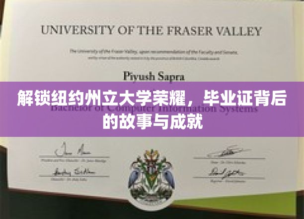 解锁纽约州立大学荣耀，毕业证背后的故事与成就