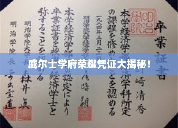 威尔士学府荣耀凭证大揭秘！