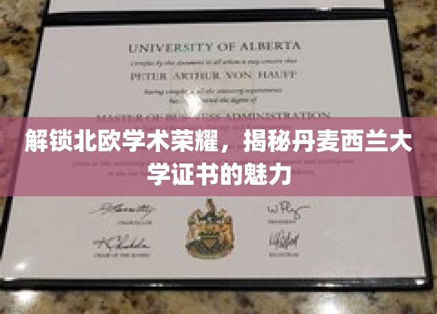 北欧智慧之光，丹麦西兰大学证书的神秘吸引力