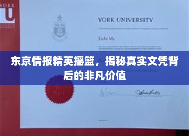 东京情报精英摇篮，揭秘真实文凭背后的非凡价值