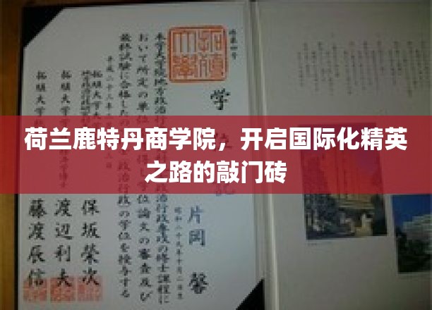 迈向全球商界巅峰，鹿特丹商学院精英培养新篇章