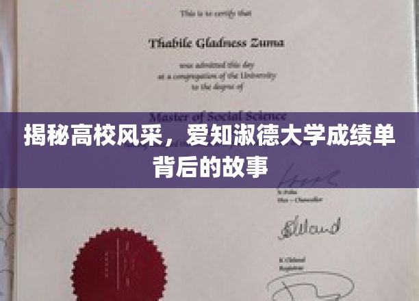 揭秘高校风采，爱知淑德大学成绩单背后的故事