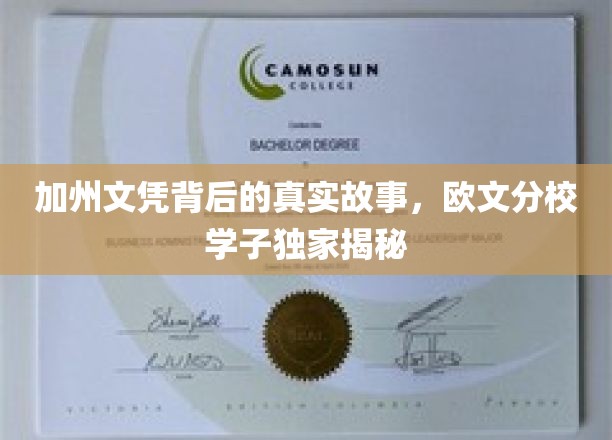 加州文凭背后，欧文分校学子的不凡历程大公开