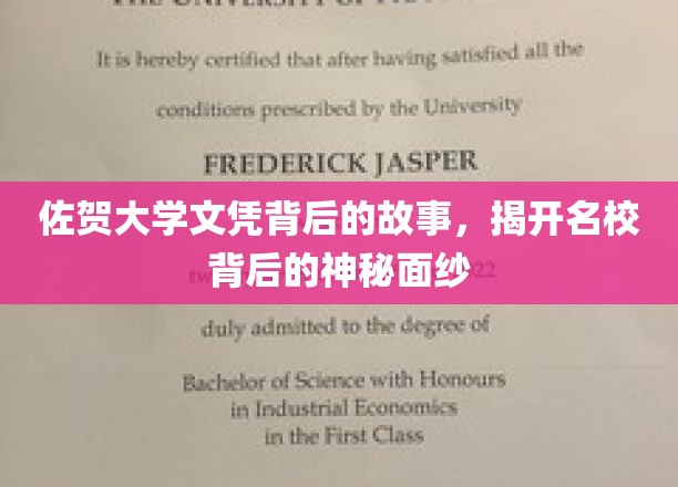 揭开佐贺大学文凭之谜，名校背后的不为人知传奇