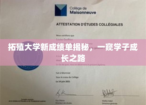 拓殖大学新成绩单揭秘，一窥学子成长之路