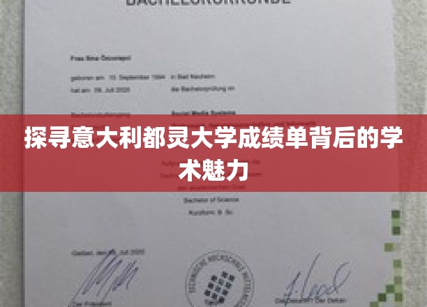 解码都灵大学成绩单，一窥学术殿堂的秘密风采
