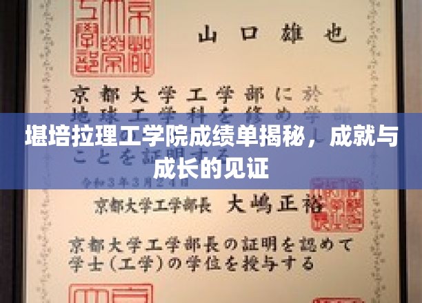 探索堪培拉理工学院，成绩单背后的辉煌成就与个人成长