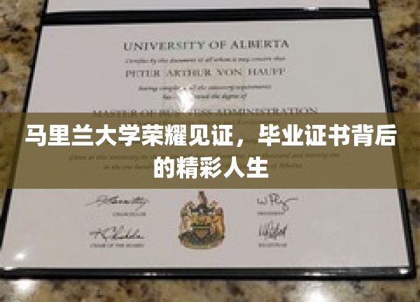 马里兰大学荣耀见证，毕业证书背后的精彩人生