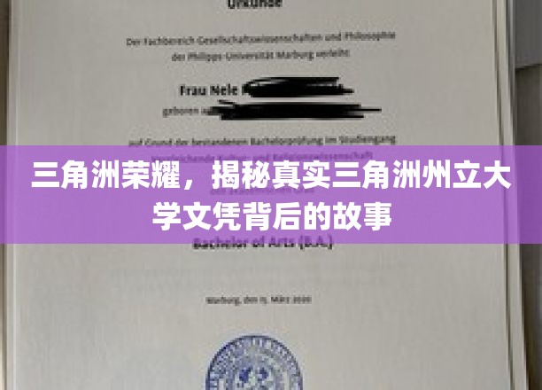 三角洲传奇，揭秘州立大学文凭背后的真实奥秘