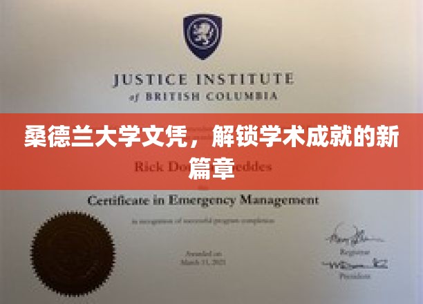 桑德兰大学文凭，开启学术新纪元的钥匙