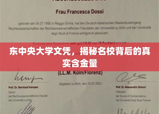 解码东中央大学文凭，名校光环下的真实价值解析