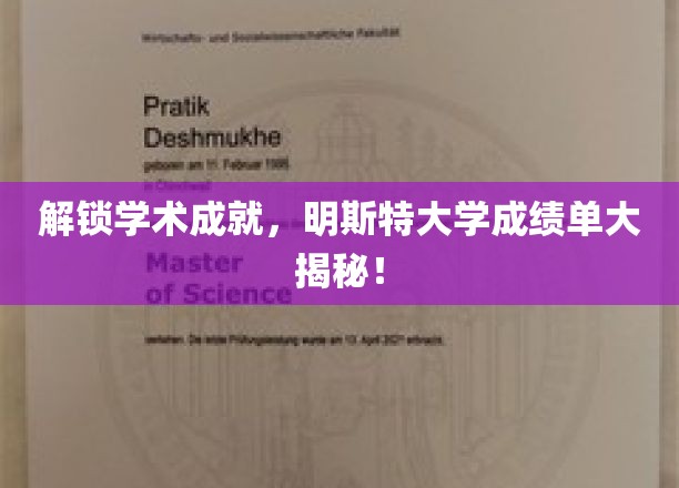 解锁学术成就，明斯特大学成绩单大揭秘！