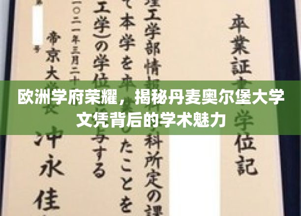 丹麦奥尔堡大学，探寻北欧教育明珠的学术风采