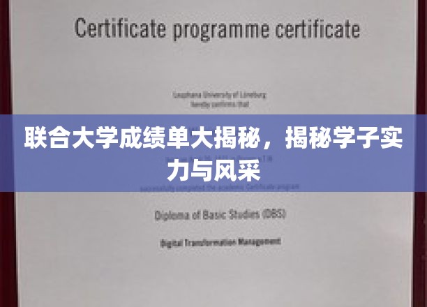 联合大学成绩单大揭秘：一窥学子实力与风采
