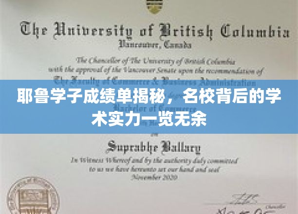 耶鲁学子成绩单揭秘，名校背后的学术实力一览无余