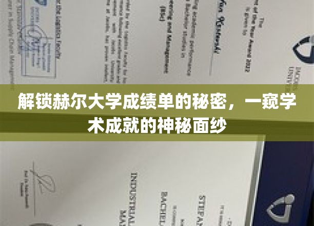 赫尔大学成绩单背后的学术奥秘，揭秘非凡成就的神秘世界