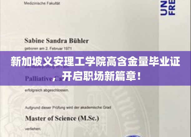 新加坡义安理工学院金钥匙，助你职场飞跃新起点