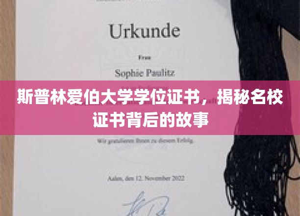 探寻斯普林爱伯大学学位证书背后的传奇印记