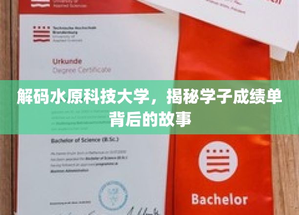 探寻水原科技大学学霸背后的秘密，成绩单背后的传奇人生