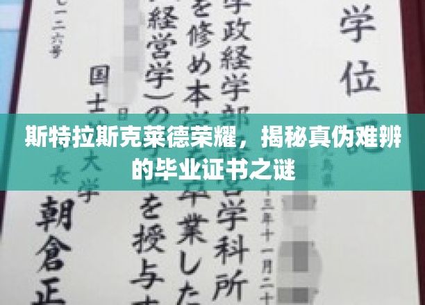 斯特拉斯克莱德荣耀证书之谜，探寻毕业证书背后的真实与虚幻